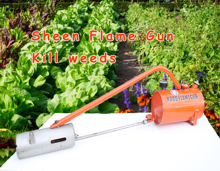 Kill weeds Sheen Flame Gun Machine 